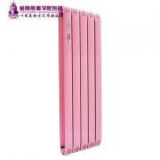 散熱器十大品牌哪家好:使節(jié)能發(fā)揮到極致!